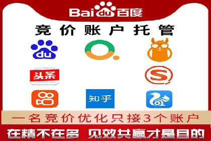 竞价排名与自然排名的对比案例